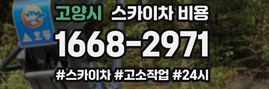 고양시 스카이차 비용