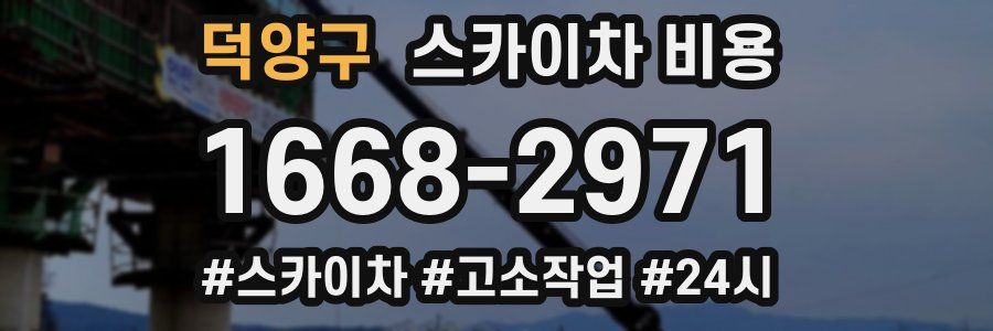 덕양구 스카이차 비용