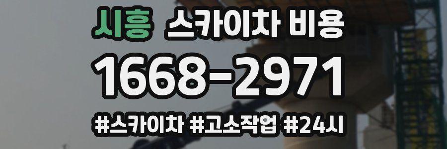 시흥 스카이차 비용