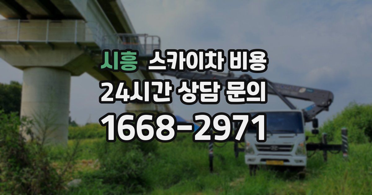 시흥 스카이차 비용