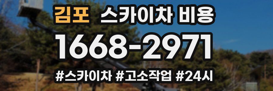 김포 스카이차 비용