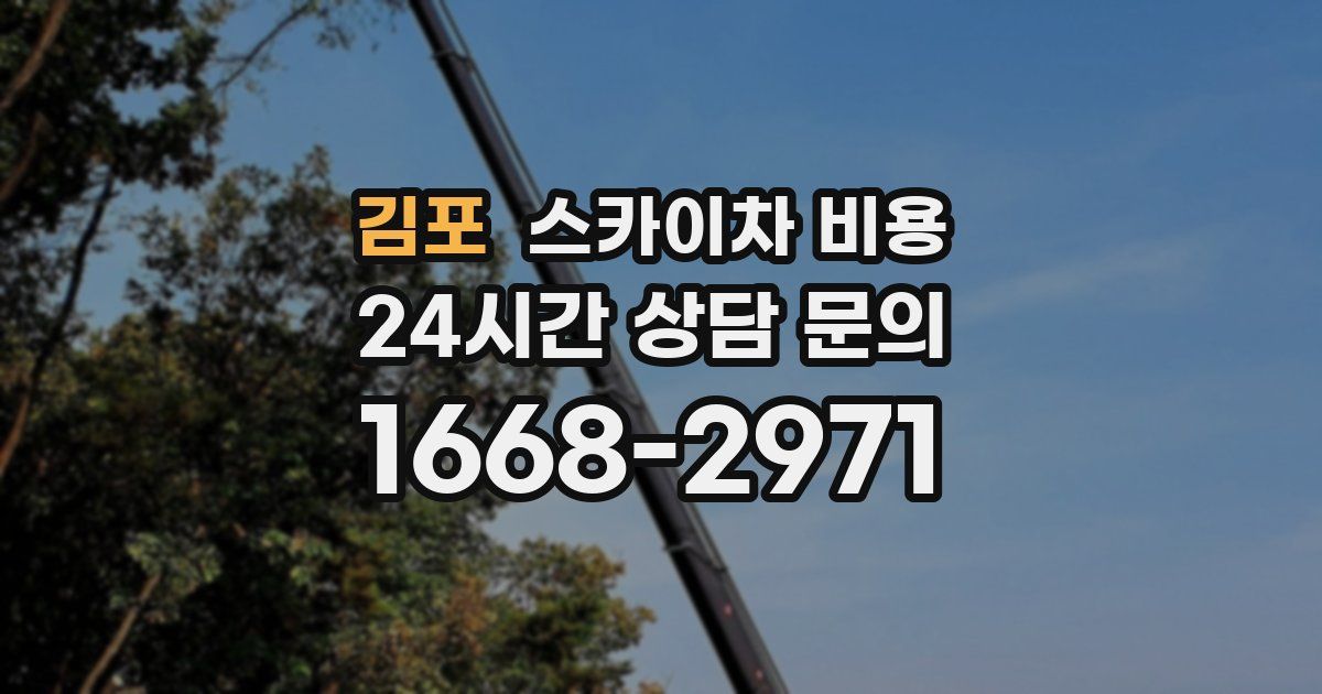 김포 스카이차 비용