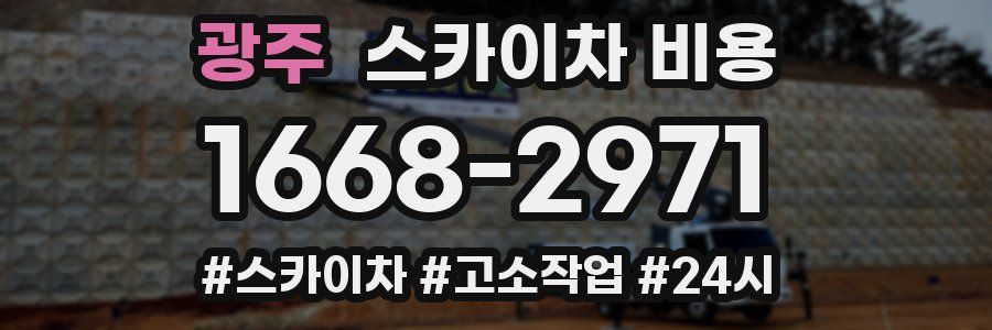 광주 스카이차 비용