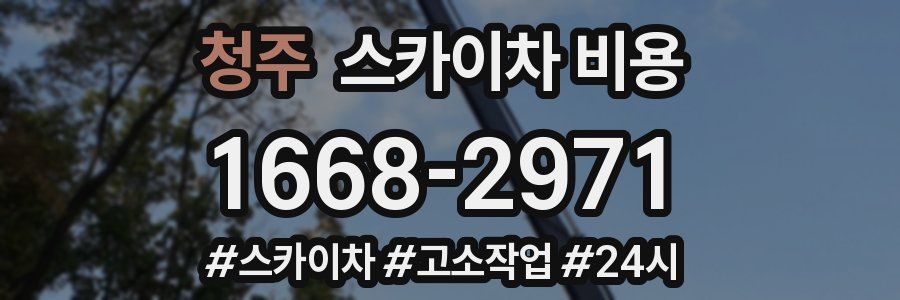 청주 스카이차 비용