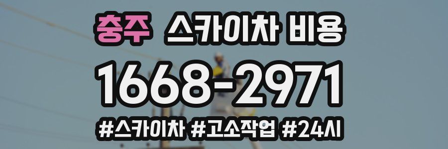 충주 스카이차 비용