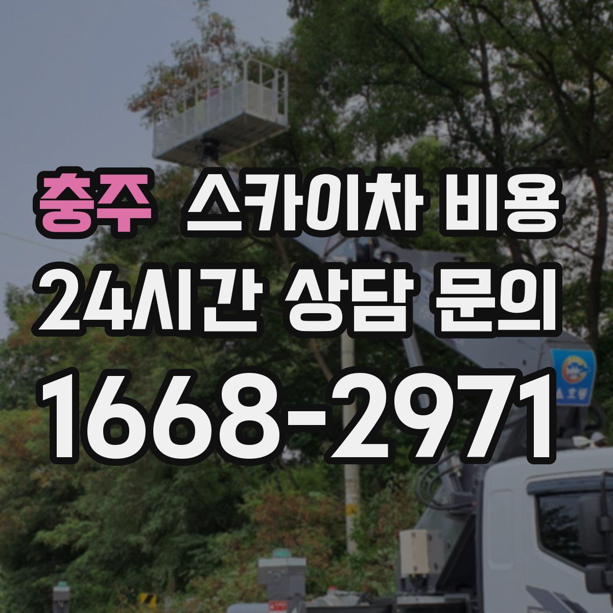 충주 스카이차 비용