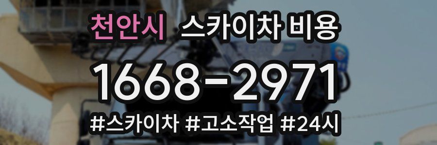 천안시 스카이차 비용