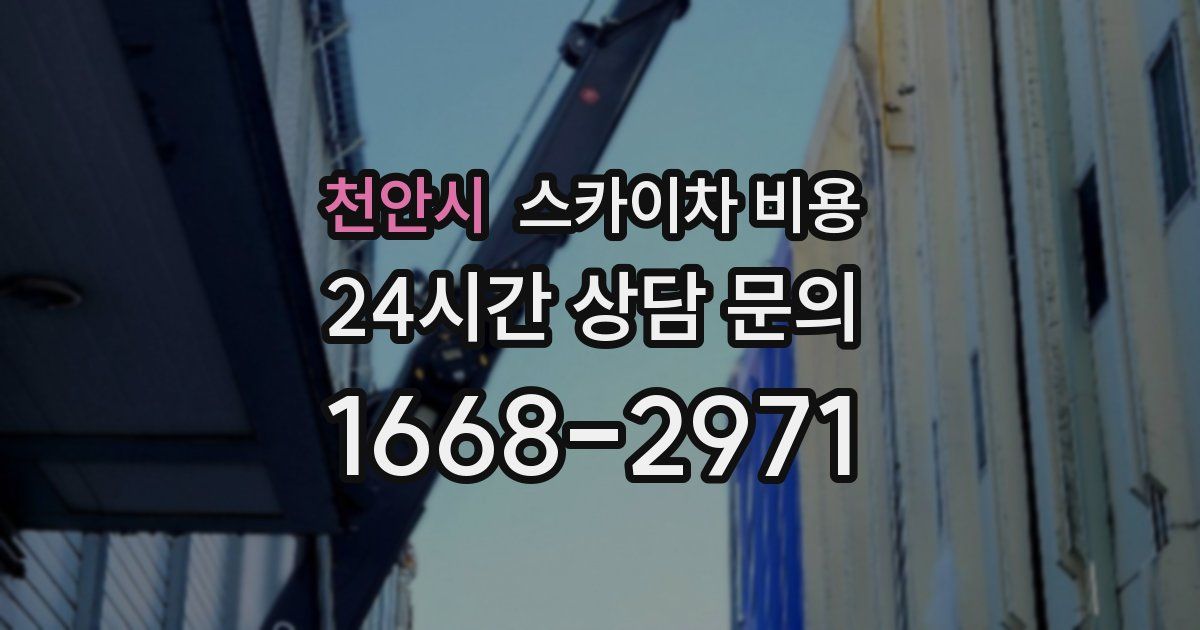 천안시 스카이차 비용