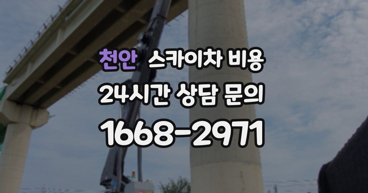 천안 스카이차 비용