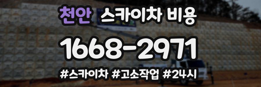 천안 스카이차 비용