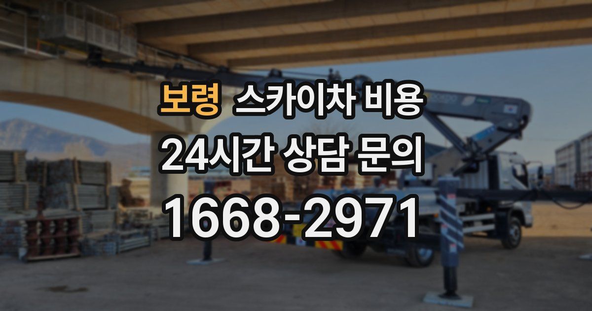 보령 스카이차 비용