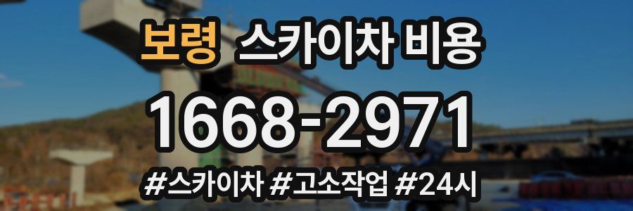 보령 스카이차 비용