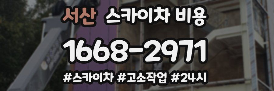 서산 스카이차 비용