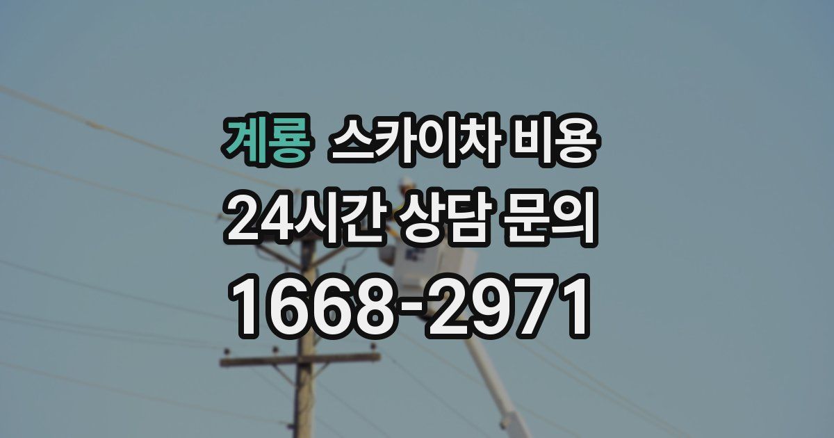 계룡 스카이차 비용