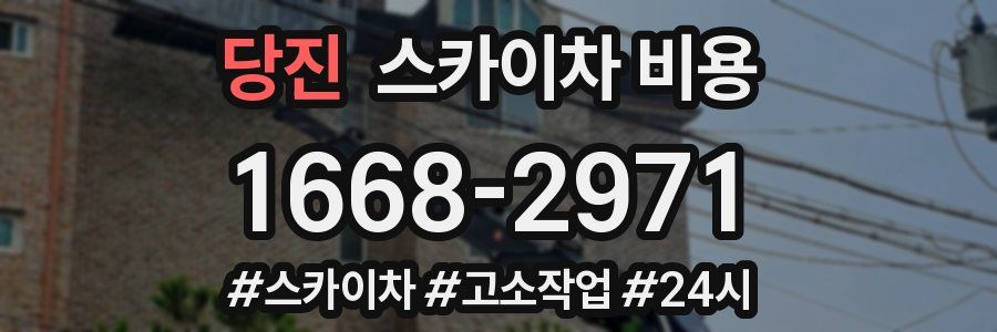 당진 스카이차 비용