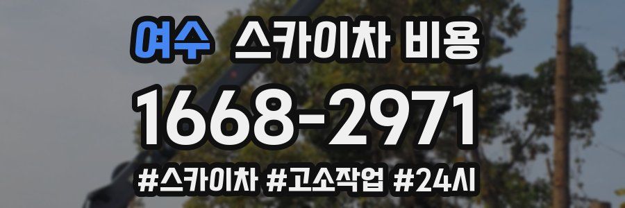 여수 스카이차 비용