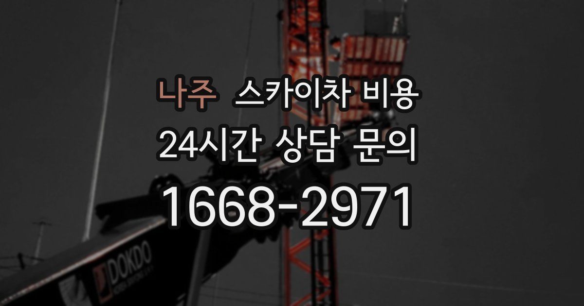 나주 스카이차 비용