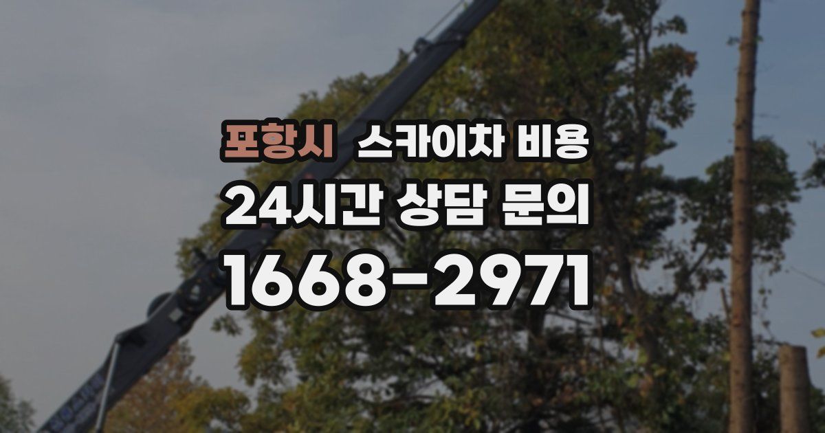 포항시 스카이차 비용