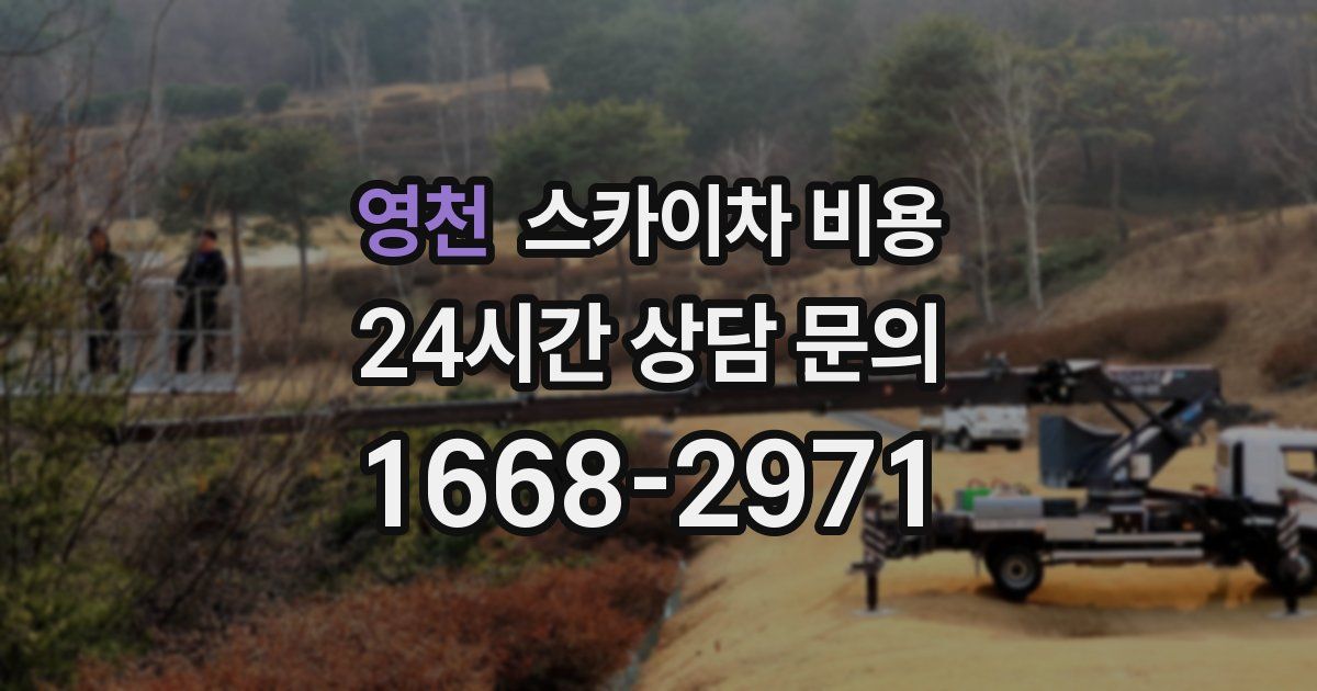 영천 스카이차 비용