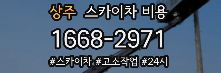 상주 스카이차 비용