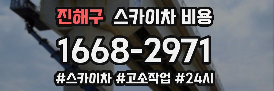 진해구 스카이차 비용