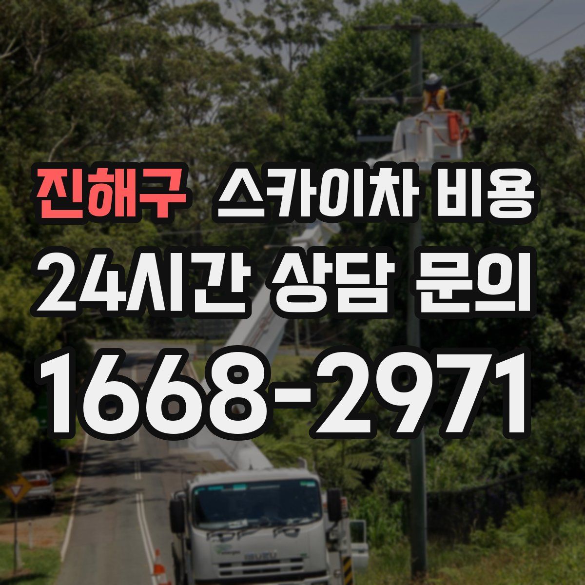 진해구 스카이차 비용