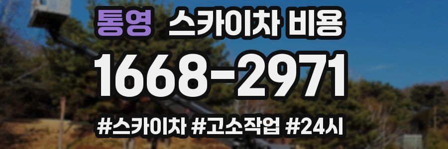 통영 스카이차 비용