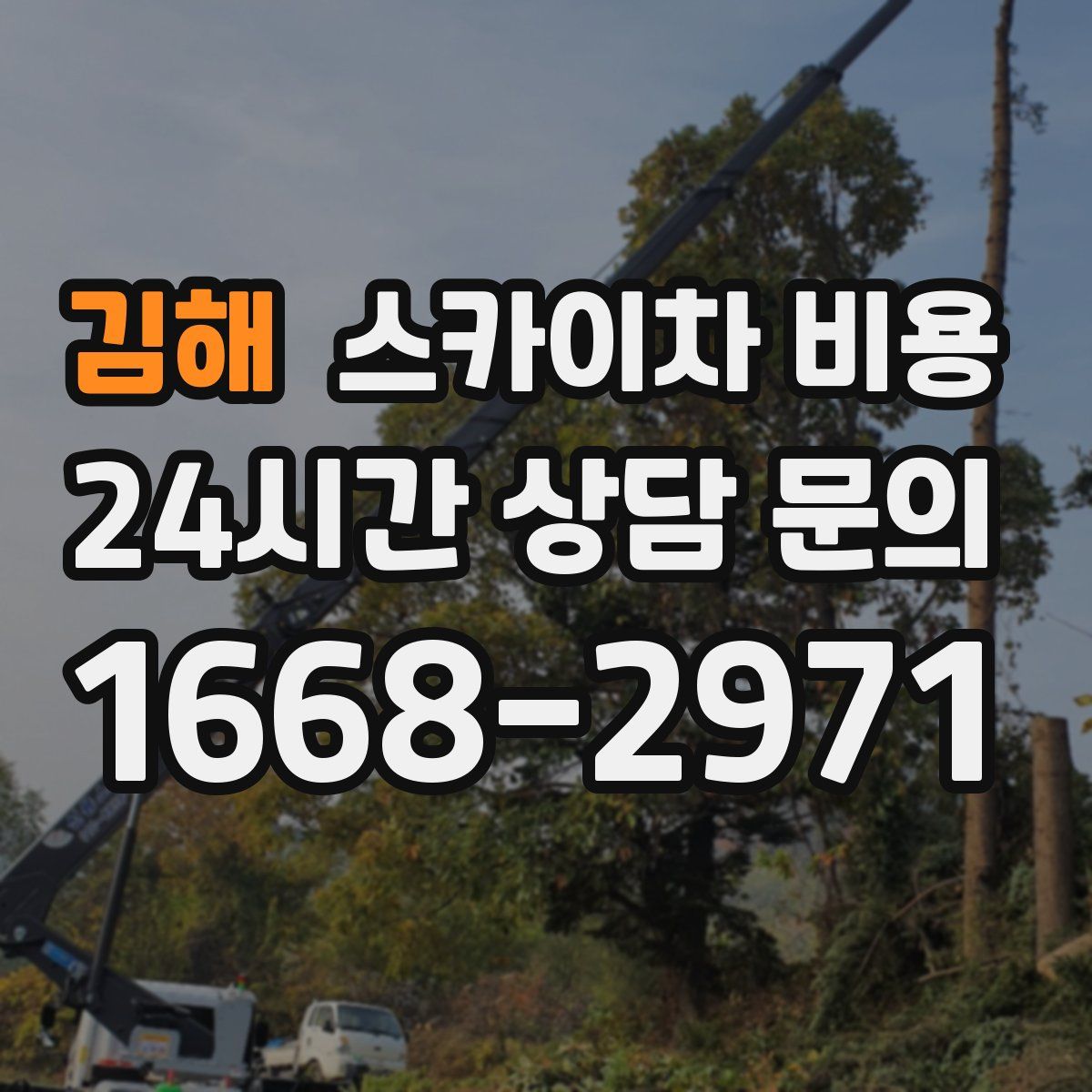 김해 스카이차 비용