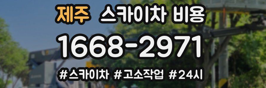 제주 스카이차 비용