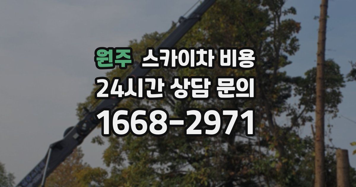 원주 스카이차 비용