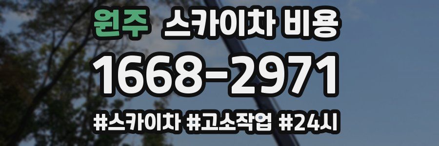 원주 스카이차 비용