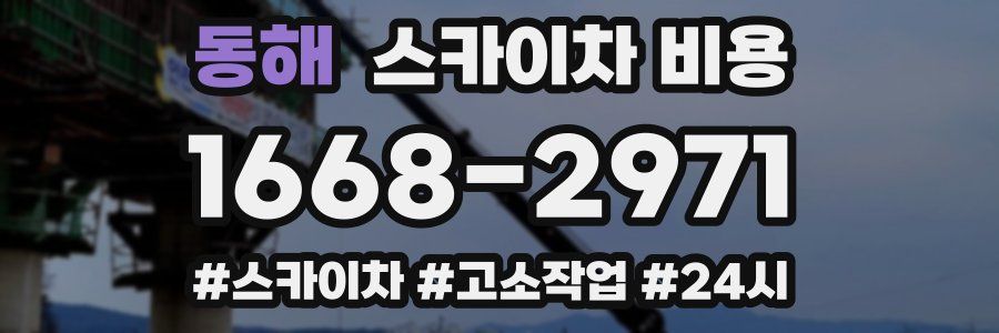 동해 스카이차 비용