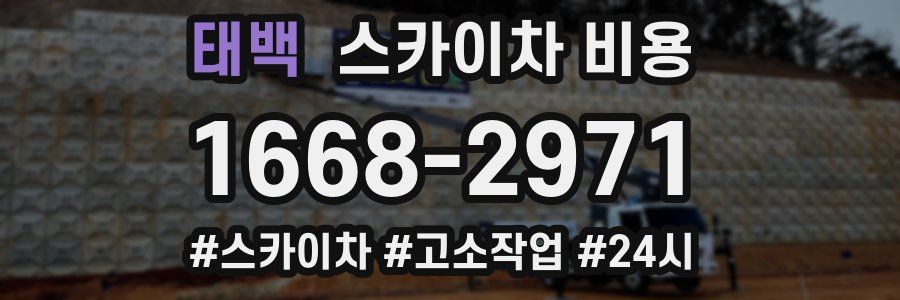 태백 스카이차 비용