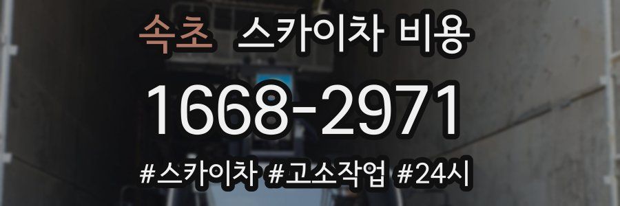 속초 스카이차 비용