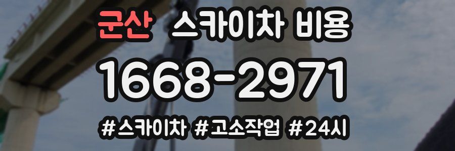 군산 스카이차 비용