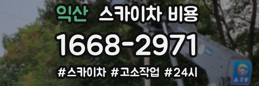 익산 스카이차 비용