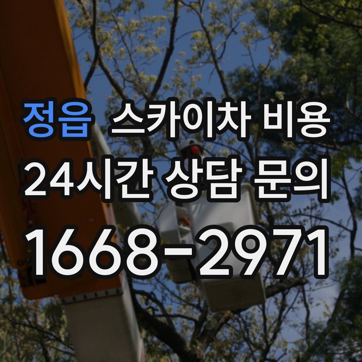 정읍 스카이차 비용