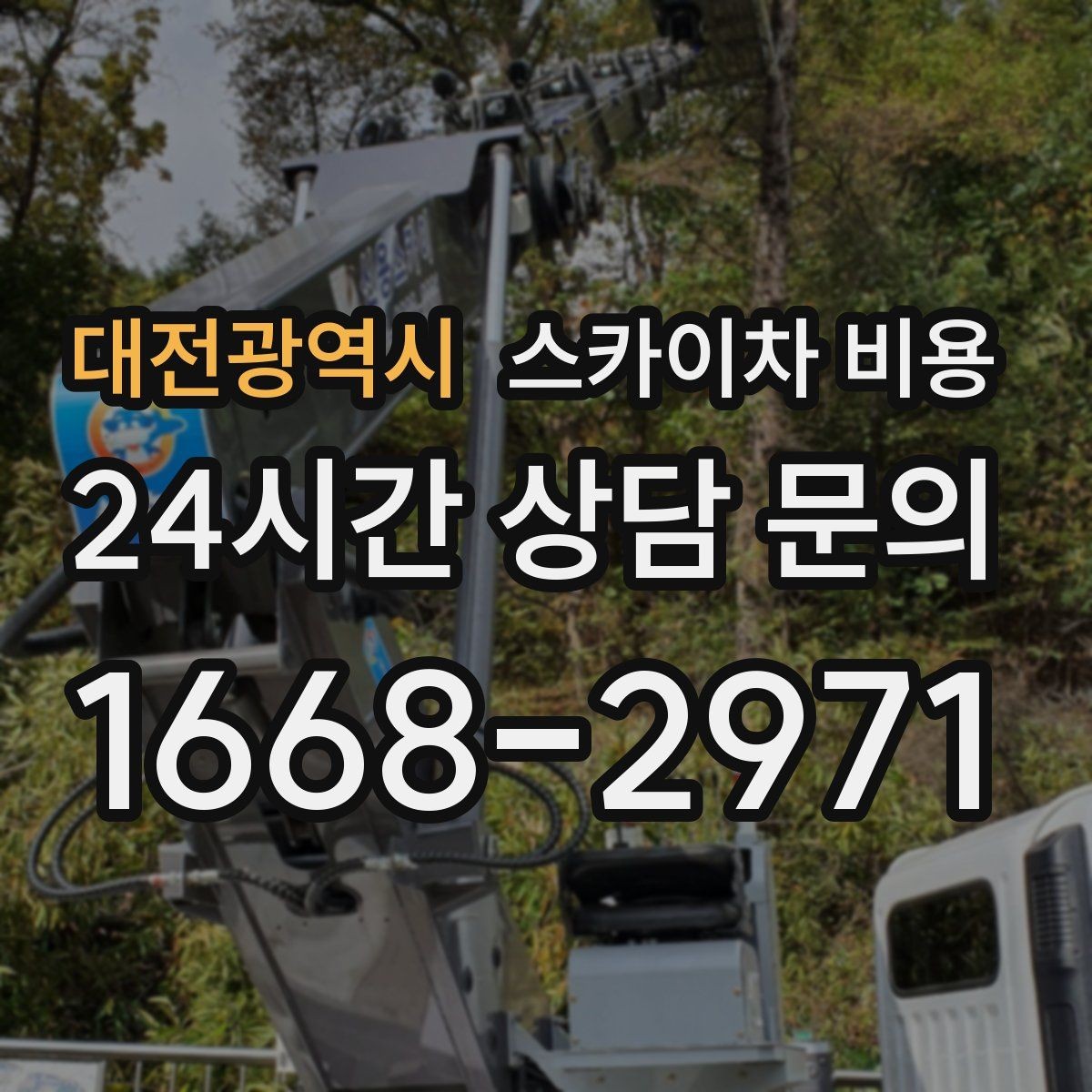 대전광역시 스카이차 비용 수목 전정 작업에서 확인할 항목