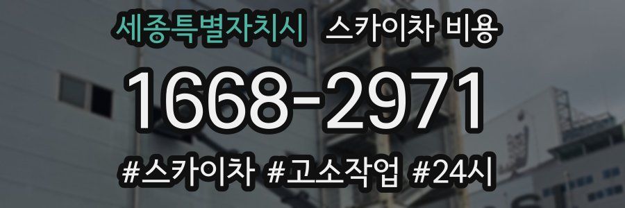 세종특별자치시 스카이차 비용
