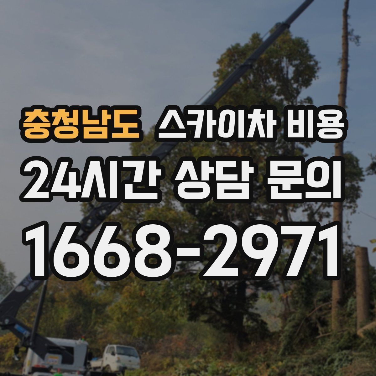 충청남도 스카이차 비용 장비 제원에 따라 달라질 수 있는 부분