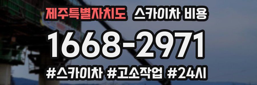 제주특별자치도 스카이차 비용