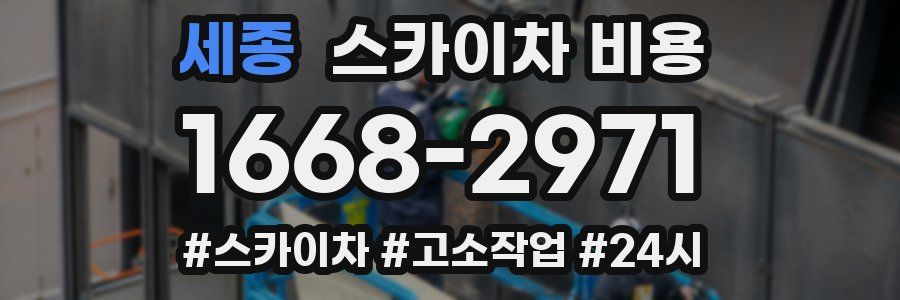 세종 스카이차 비용