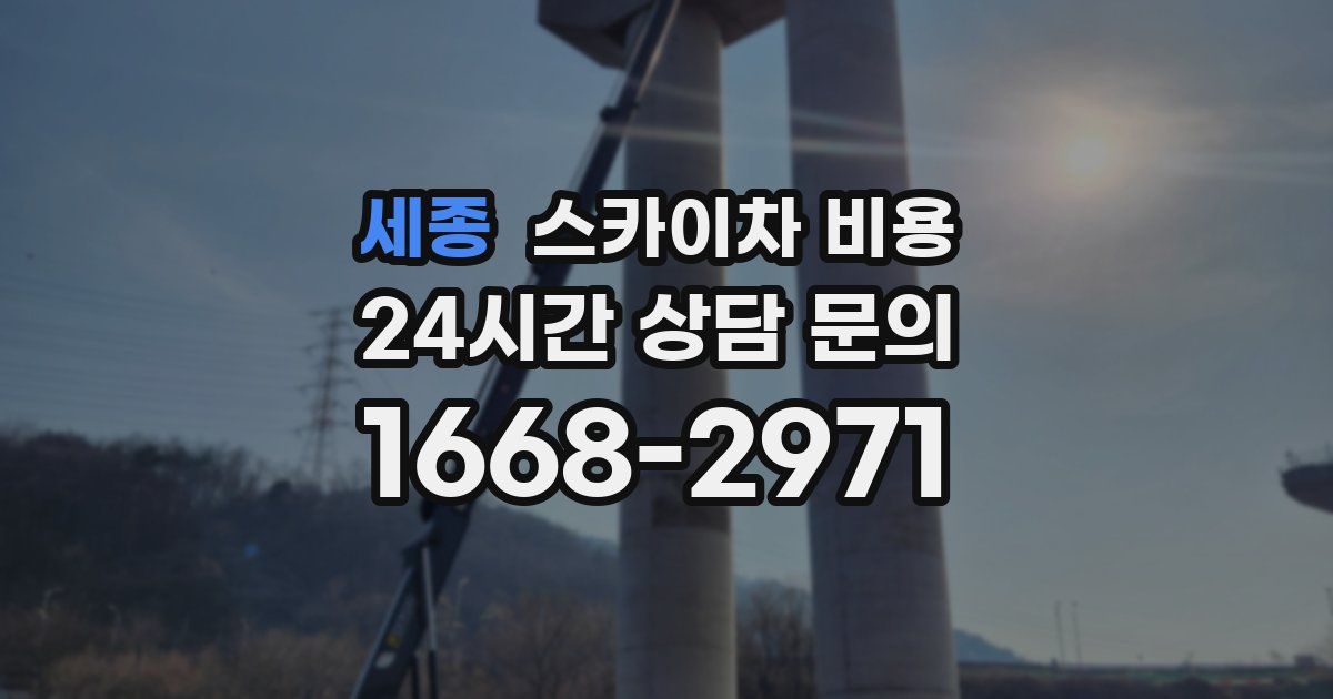 세종 스카이차 비용