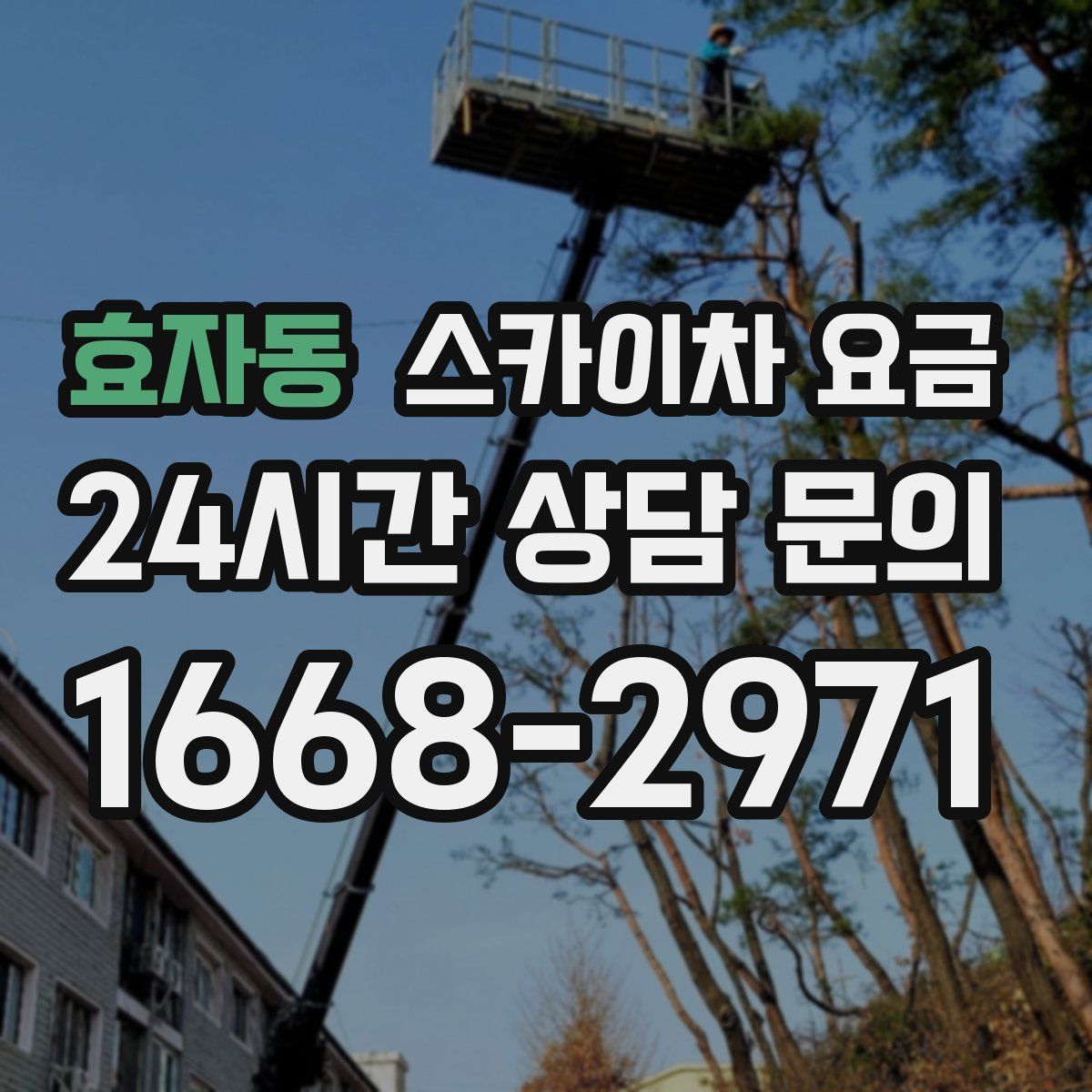 효자동 스카이차 요금