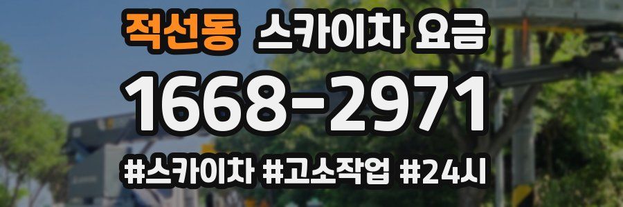 적선동 스카이차 요금