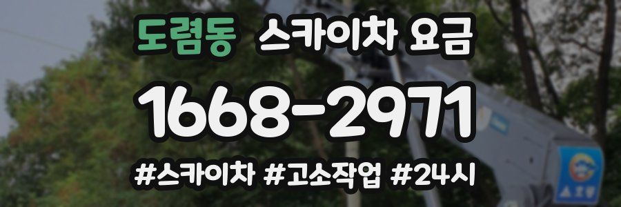 도렴동 스카이차 요금
