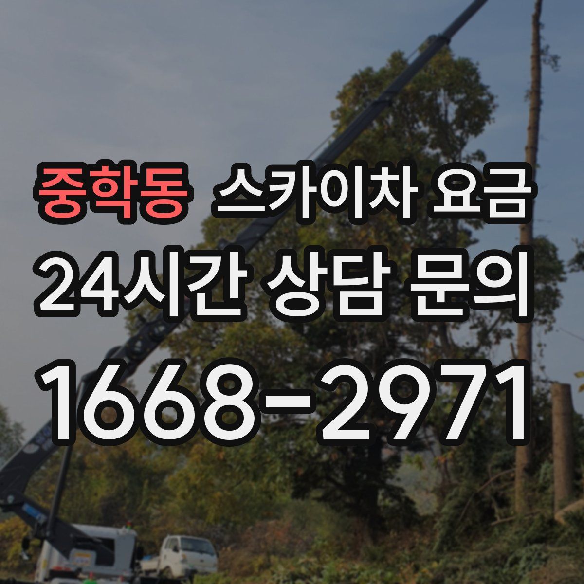 중학동 스카이차 요금