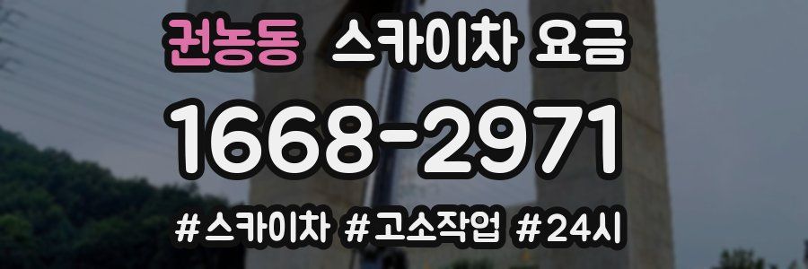 권농동 스카이차 요금