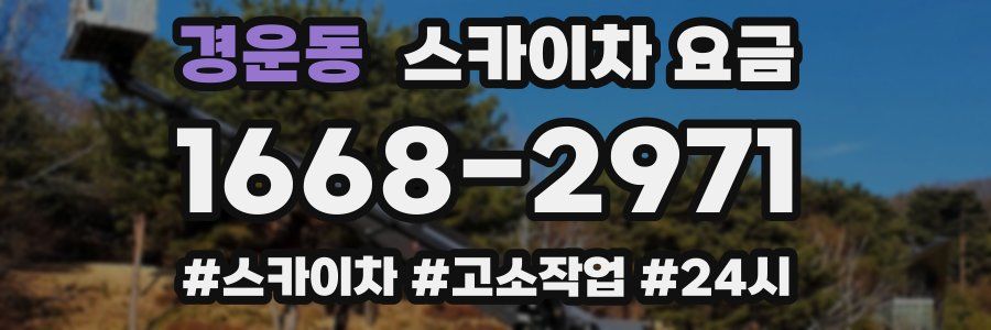 경운동 스카이차 요금