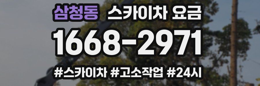 삼청동 스카이차 요금